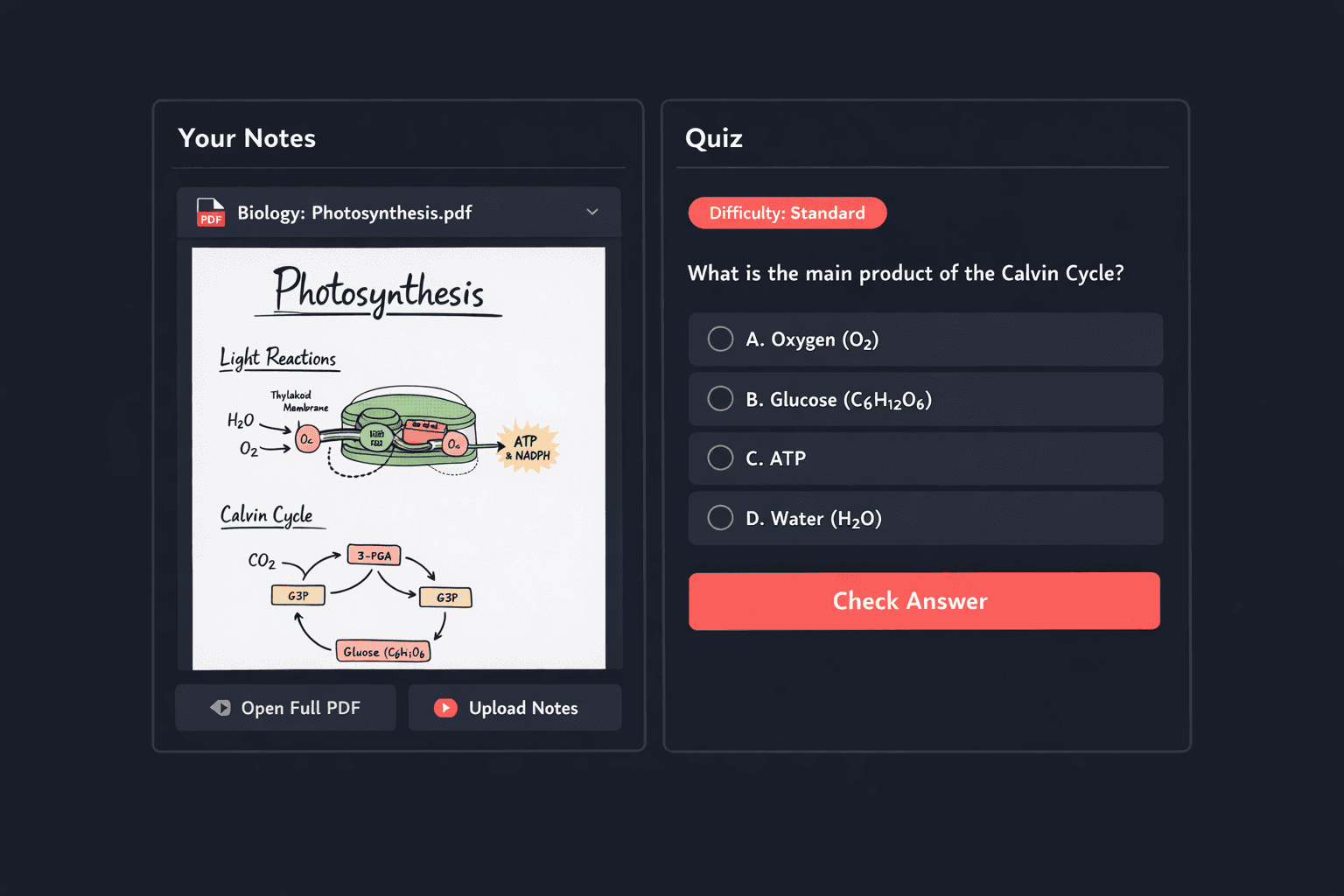 Personalized practice questions generated from uploaded study notes